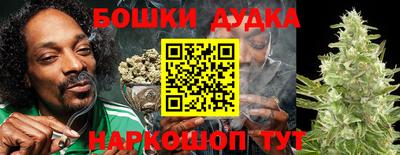 молекула духа Обь