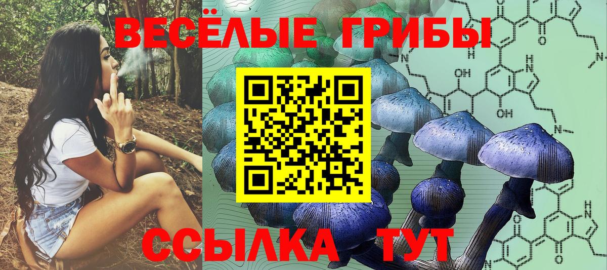 Семёнов  Псилоцибиновые грибы Psilocybine cubensis  Псилоцибиновые грибы Cubensis  Вход с VPN 